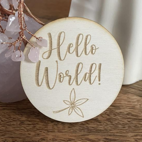 Baby Birth Announcement, Hello World!, Milestone Discs, photo prop